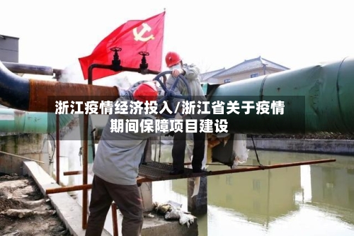 浙江疫情经济投入/浙江省关于疫情期间保障项目建设-第3张图片