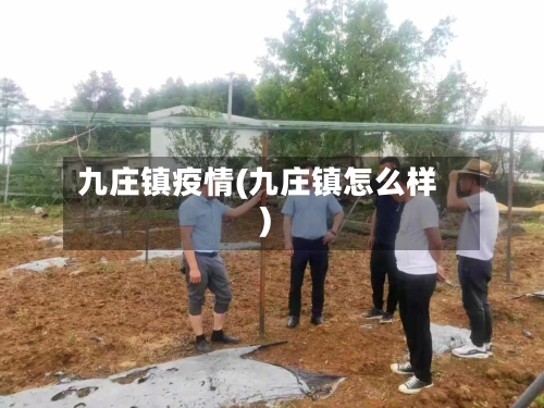 九庄镇疫情(九庄镇怎么样)