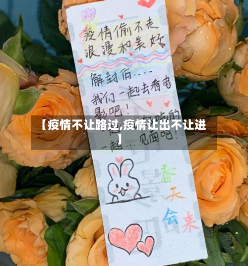 【疫情不让路过,疫情让出不让进】