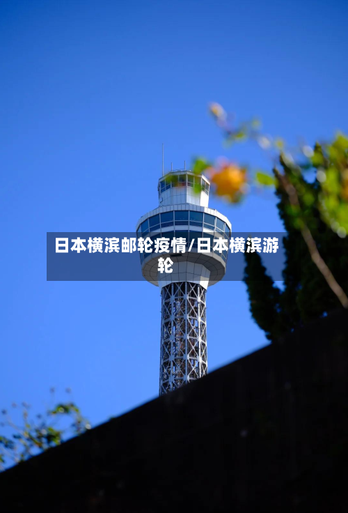 日本横滨邮轮疫情/日本横滨游轮