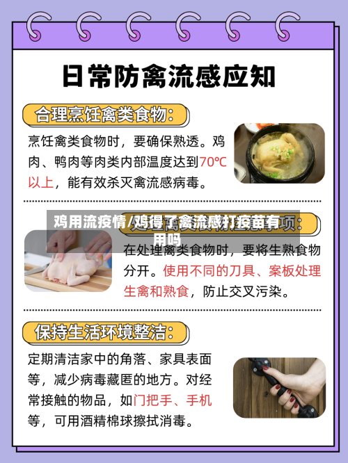 鸡用流疫情/鸡得了禽流感打疫苗有用吗-第2张图片