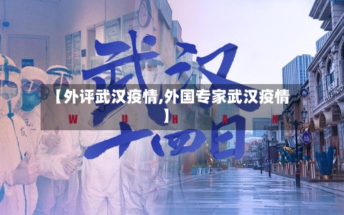 【外评武汉疫情,外国专家武汉疫情】-第2张图片