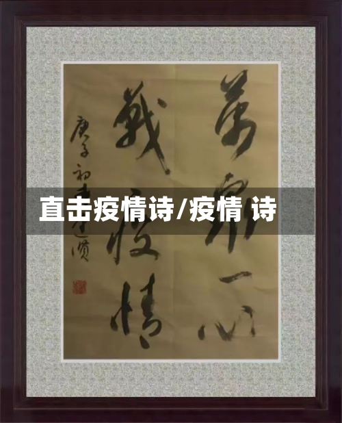 直击疫情诗/疫情 诗-第3张图片