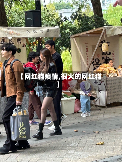 【网红猫疫情,很火的网红猫】