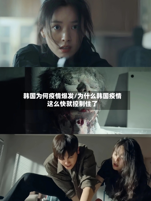韩国为何疫情爆发/为什么韩国疫情这么快就控制住了-第2张图片