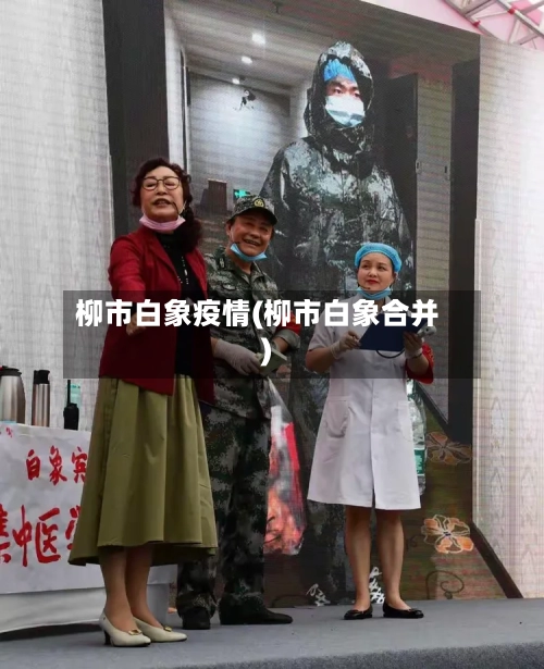 柳市白象疫情(柳市白象合并)-第3张图片