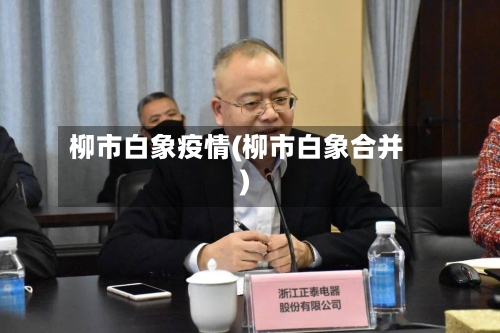 柳市白象疫情(柳市白象合并)-第2张图片