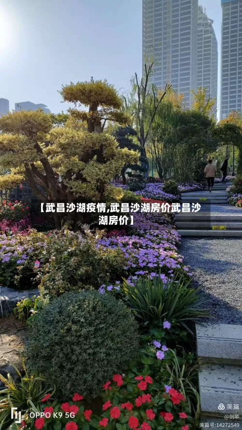 【武昌沙湖疫情,武昌沙湖房价武昌沙湖房价】-第2张图片