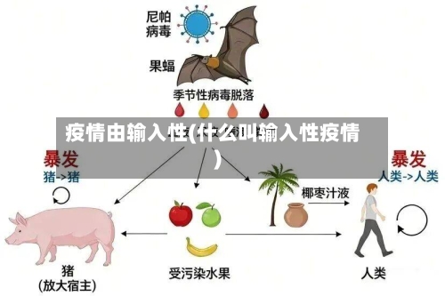 疫情由输入性(什么叫输入性疫情)