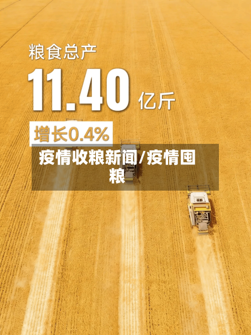 疫情收粮新闻/疫情囤粮-第3张图片