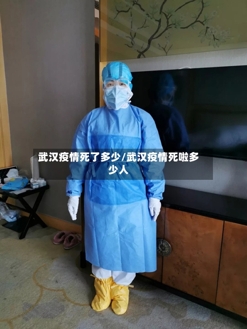 武汉疫情死了多少/武汉疫情死啦多少人-第3张图片