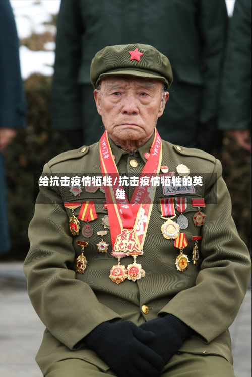 给抗击疫情牺牲/抗击疫情牺牲的英雄