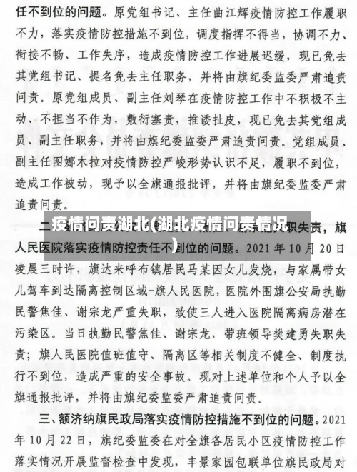 疫情问责湖北(湖北疫情问责情况)-第2张图片