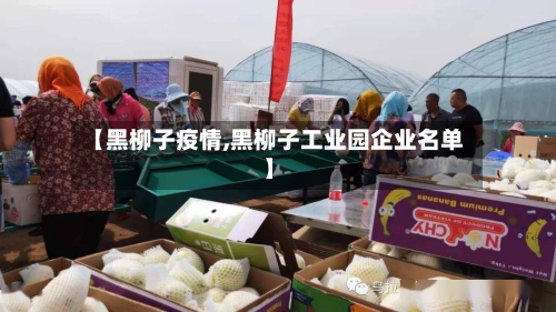 【黑柳子疫情,黑柳子工业园企业名单】
