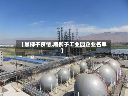 【黑柳子疫情,黑柳子工业园企业名单】-第2张图片