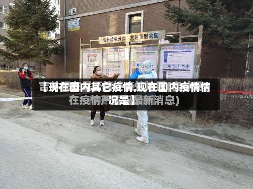 【现在国内其它疫情,现在国内疫情情况是】-第2张图片