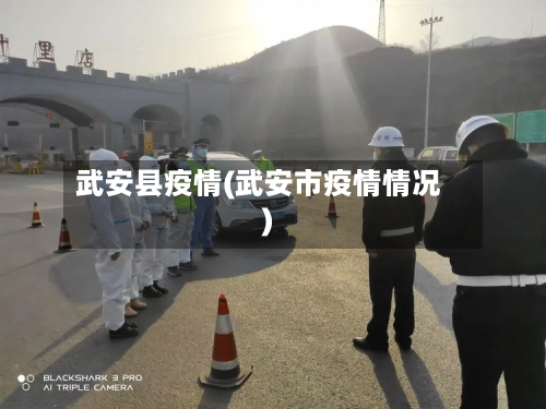 武安县疫情(武安市疫情情况)-第2张图片