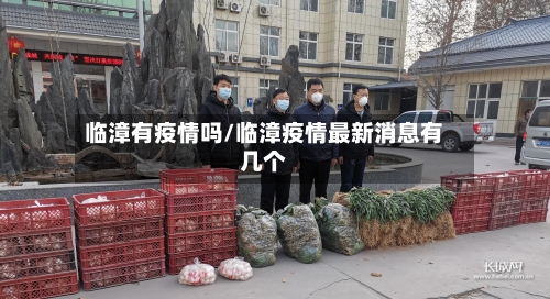 临漳有疫情吗/临漳疫情最新消息有几个-第2张图片