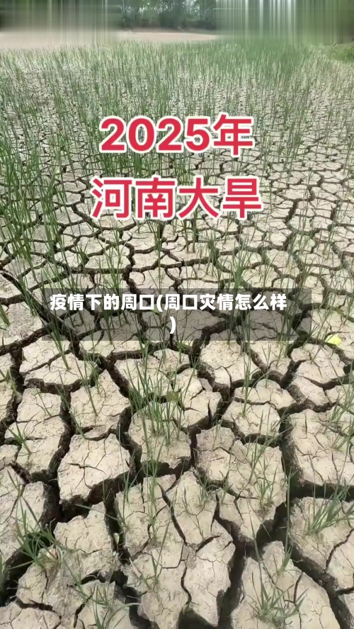 疫情下的周口(周口灾情怎么样)