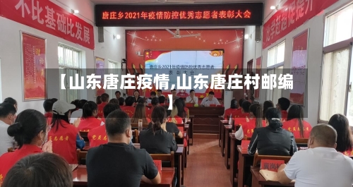 【山东唐庄疫情,山东唐庄村邮编】-第3张图片