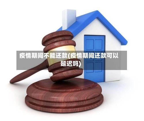 疫情期间不能还款(疫情期间还款可以延迟吗)-第2张图片