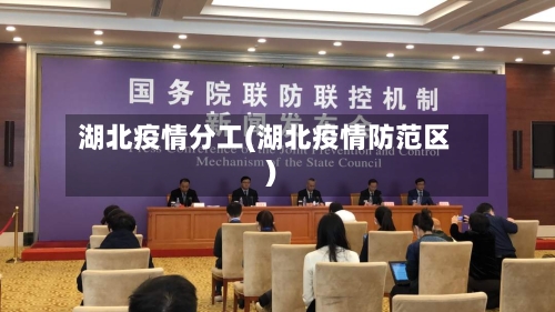 湖北疫情分工(湖北疫情防范区)-第2张图片