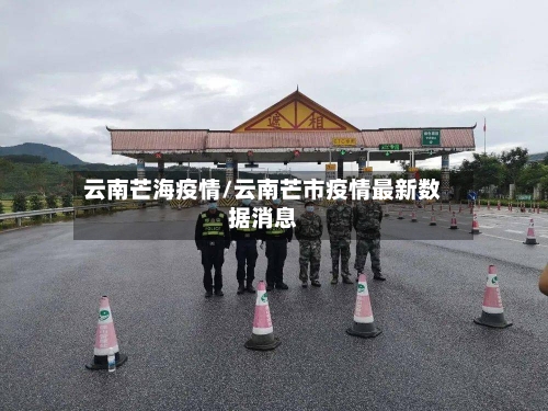 云南芒海疫情/云南芒市疫情最新数据消息
