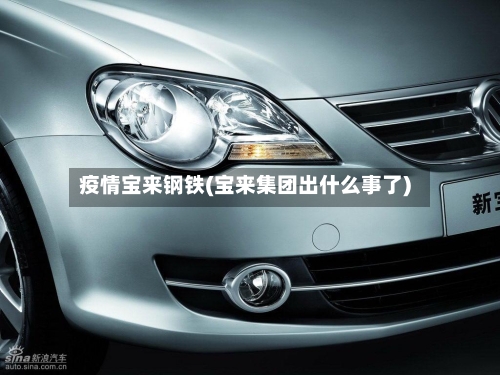 疫情宝来钢铁(宝来集团出什么事了)-第2张图片
