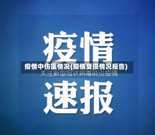 疫情中伤医情况(疫情受损情况报告)