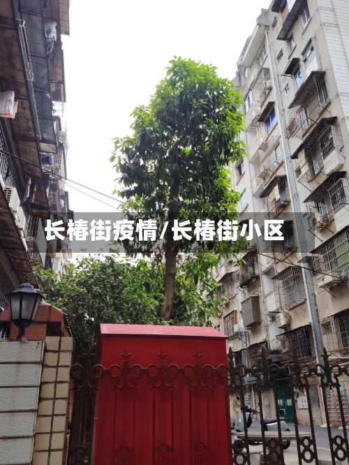 长椿街疫情/长椿街小区-第3张图片
