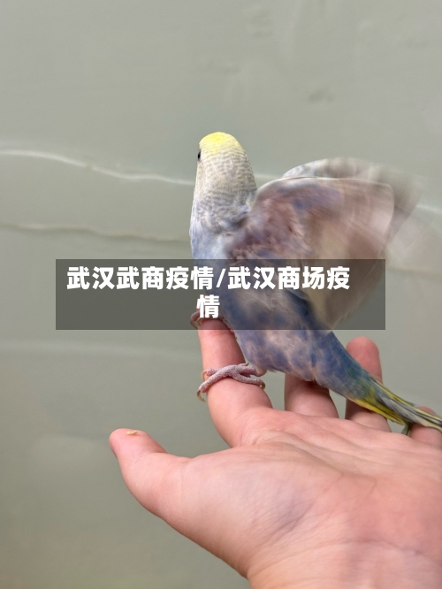 武汉武商疫情/武汉商场疫情