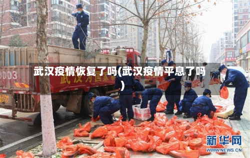 武汉疫情恢复了吗(武汉疫情平息了吗)-第3张图片