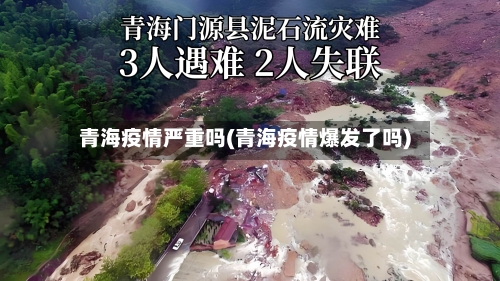 青海疫情严重吗(青海疫情爆发了吗)-第3张图片