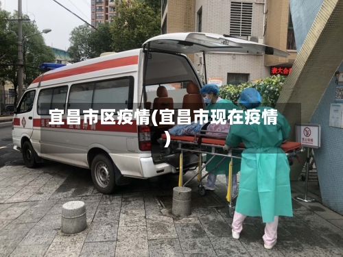 宜昌市区疫情(宜昌市现在疫情)-第2张图片