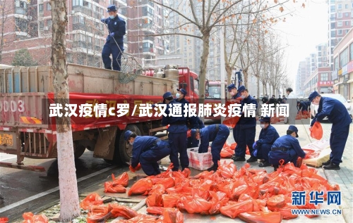 武汉疫情c罗/武汉通报肺炎疫情 新闻-第2张图片
