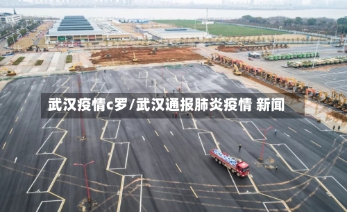 武汉疫情c罗/武汉通报肺炎疫情 新闻-第3张图片