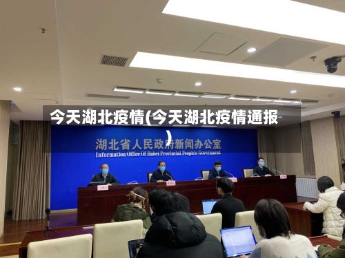 今天湖北疫情(今天湖北疫情通报)