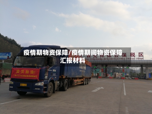 疫情期物资保障/疫情期间物资保障汇报材料