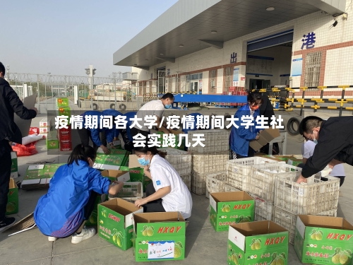 疫情期间各大学/疫情期间大学生社会实践几天