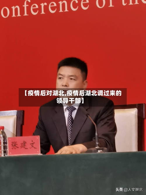 【疫情后对湖北,疫情后湖北调过来的领导干部】-第2张图片