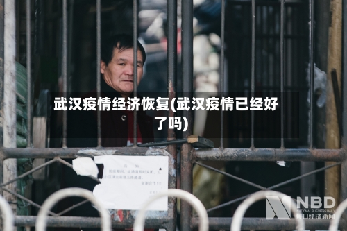武汉疫情经济恢复(武汉疫情已经好了吗)-第2张图片