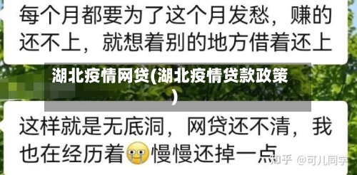 湖北疫情网贷(湖北疫情贷款政策)-第2张图片