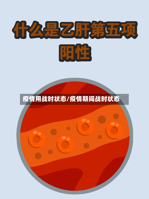 疫情用战时状态/疫情期间战时状态-第3张图片