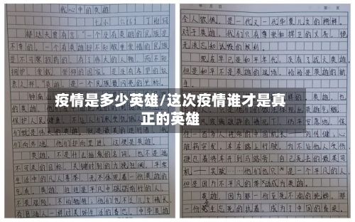 疫情是多少英雄/这次疫情谁才是真正的英雄