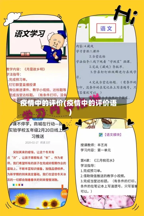 疫情中的评价(疫情中的评价语)