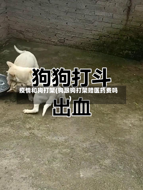 疫情和狗打架(狗跟狗打架赔医药费吗)