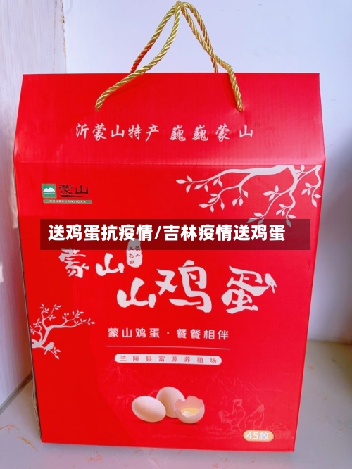 送鸡蛋抗疫情/吉林疫情送鸡蛋-第2张图片