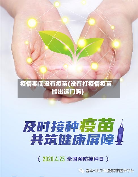 疫情期间没有疫苗(没有打疫情疫苗能出远门吗)