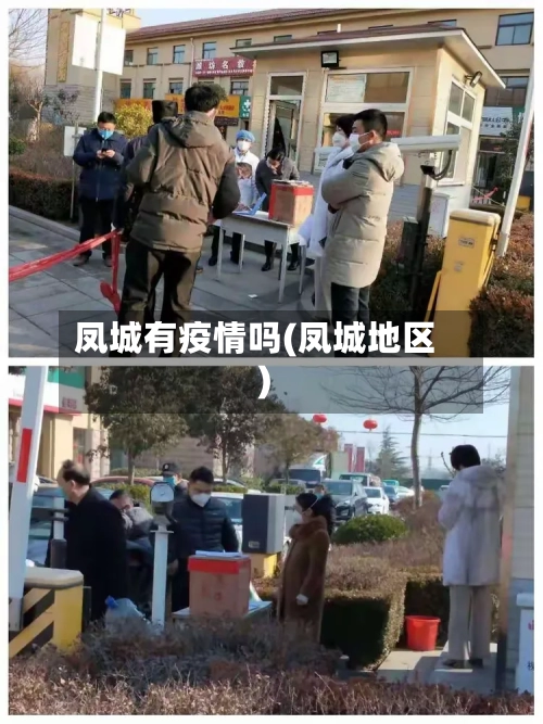 凤城有疫情吗(凤城地区)-第3张图片