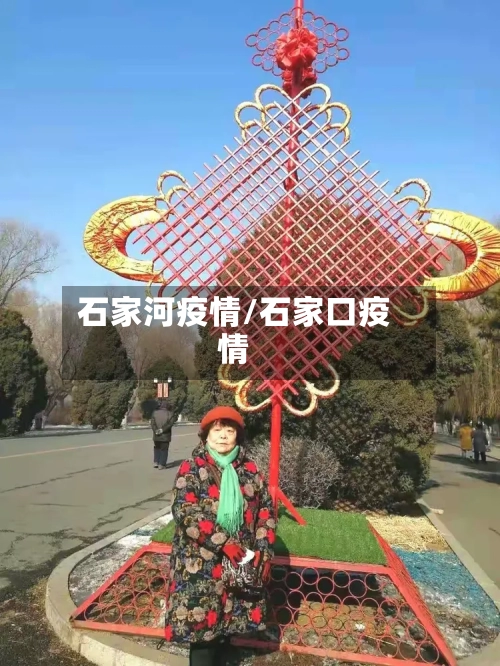 石家河疫情/石家口疫情-第2张图片